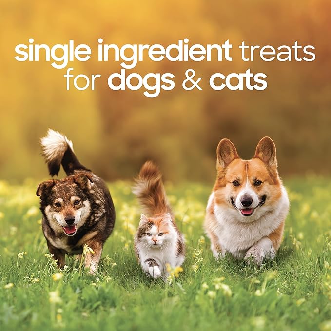 smallbatch Freeze Dried Dog Treats, Duck Liver Treats for Dogs & Cats, High Protein, Single Ingredient Dog Treat for Training or Food Topper, Natural, Humanely Sourced Meat, Made in The USA, 3 oz