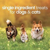 smallbatch Pets Premium Freeze-Dried Chicken Heart Treats for Dogs and Cats, 3.5 oz, Made and Sourced in The USA, Single Ingredient, Humanely Raise Meat, No Preservatives or Anything Artificial Ever
