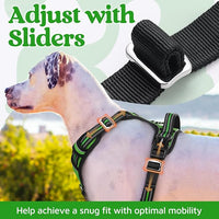 rabbitgoo Dog Harness Medium Sized, No Pull Dog Vest with 3 Buckles, Adjustable Soft Padded Pet Harness with Easy Control Handle and Reflective Strips, Green, M