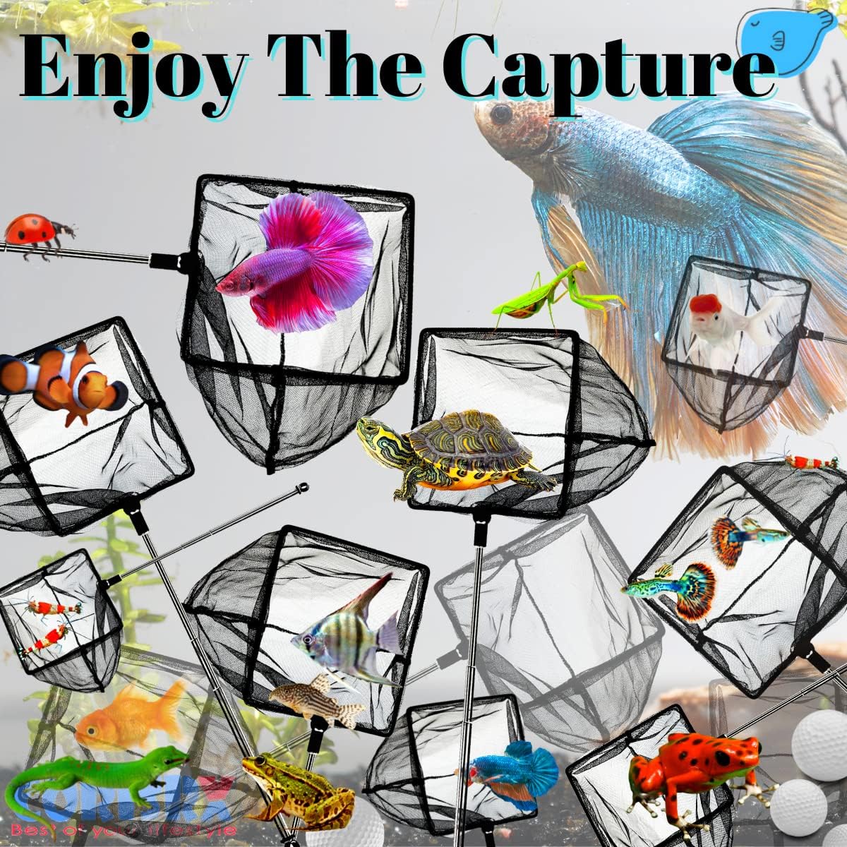 Aquarium Betta Fish Net Protect Delicate Fin - image 2