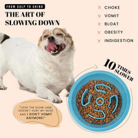 AVERYDAY Slow Feeder Dog Bowls for Large Breed - Slow Feeder Blue / 1.5 Cup - Fit 6.4-6.7'' Feeder Holes - image 2