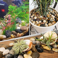 45LB 1"-2" Decorative River Rocks for Plants, Polished Pebbles for Garden Landscaping, Planters,Aquarium,Vase Fillers, Indoor & Outdoor Decor