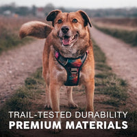 Embark Adventure Dog Harness, Reflective Trim No Pull Harness for Medium Sized Dog - Military Grade Nylon, Front Clip with Gel Lined Handle. Soft & Padded Puppy