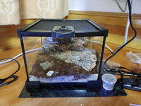 AWXZOM Mini Reptile Glass Terrarium Tank - 7.9x7.9x5.7inch - image 4