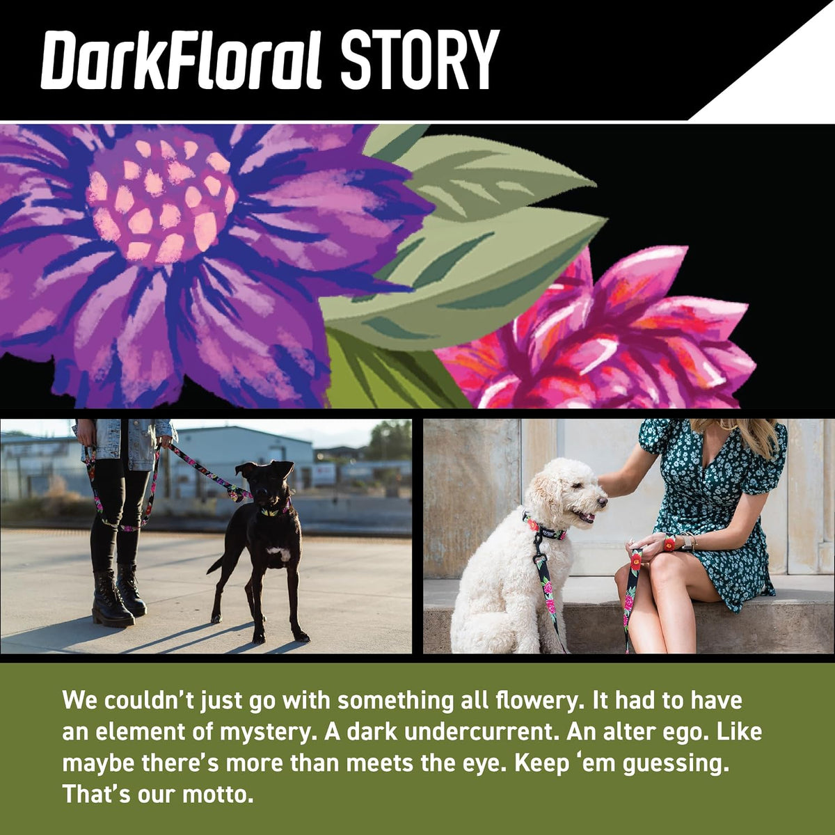 Wolfgang Heavy Duty, Adjustable Dog Collar with Quick Release Nylon Buckle for Walking & Training - Large (1 Inch x 18-26 Inch) / DarkFloral Print - image 2