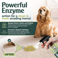 Sprinkle & Sweep: Pet Stain & Odor Enzyme Spray - 32 Fl Oz - image 2