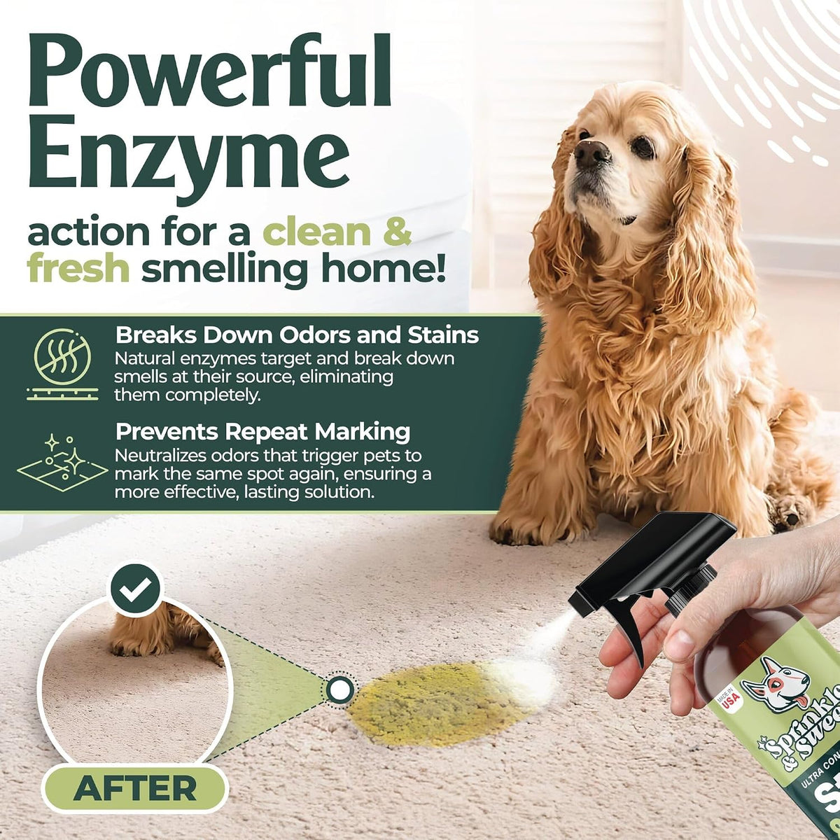 Sprinkle & Sweep: Pet Stain & Odor Enzyme Spray - 32 Fl Oz - image 2