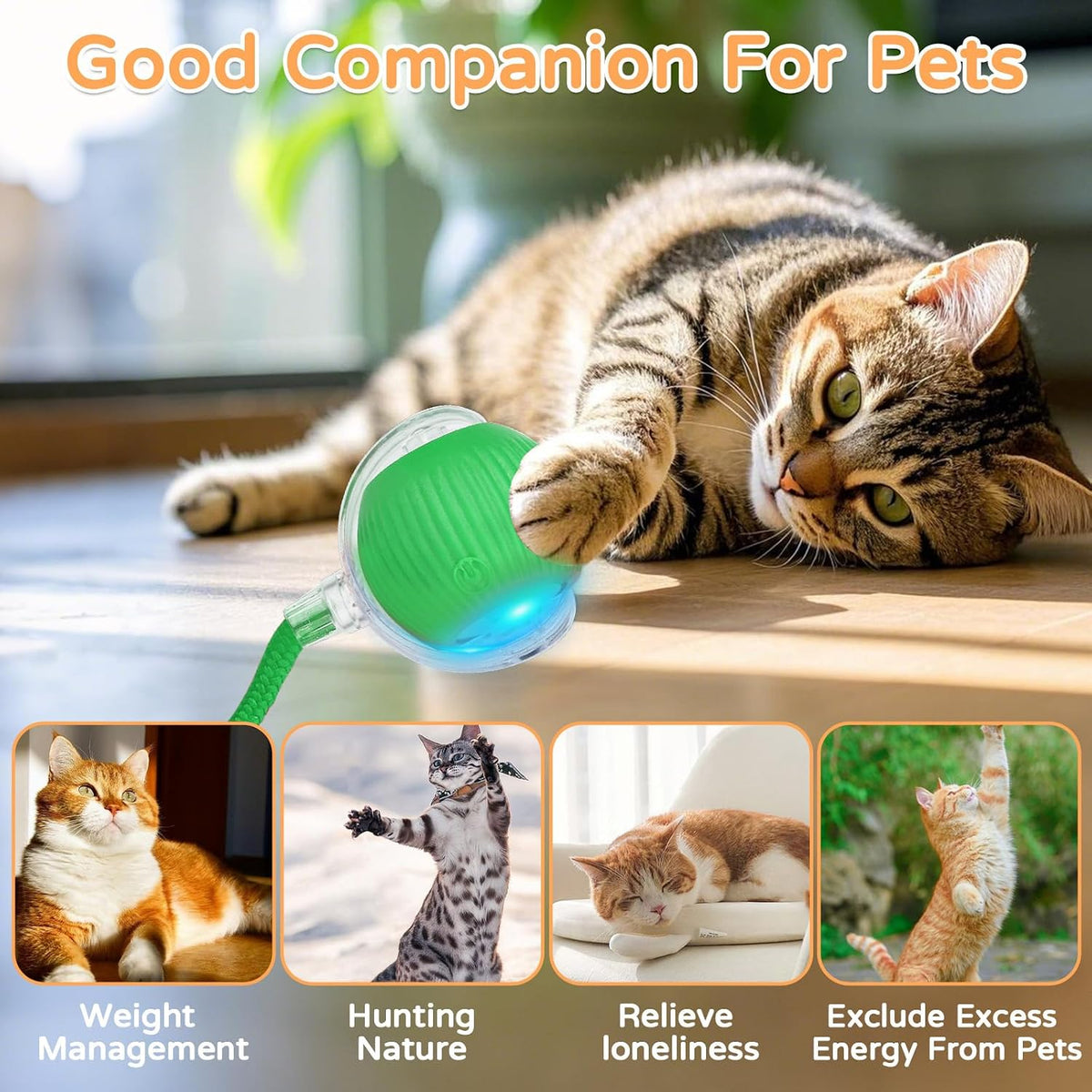 2025 New 3Pack Cat Ball Kitten Toys for Indoor Interactive Kitty Ball - 1PK - image 2