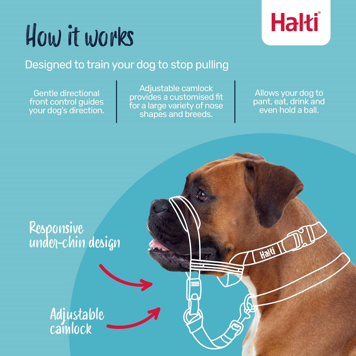 Halti Optifit Headcollar for Dogs, Size L - image 2