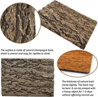 PINVNBY Reptile Terrarium Cork Background - 【Natural Cork Bark 】 / 【1 PCS】 - image 2