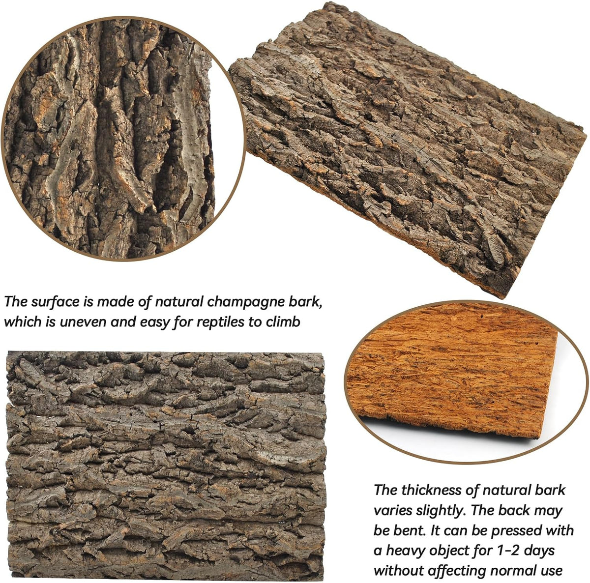 PINVNBY Reptile Terrarium Cork Background - 【Natural Cork Bark 】 / 【1 PCS】 - image 2