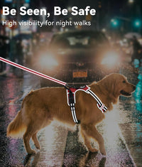 Joytale No Pull Dog Harness Medium Sized Dog, Front Clip - Medium / Red - image 2