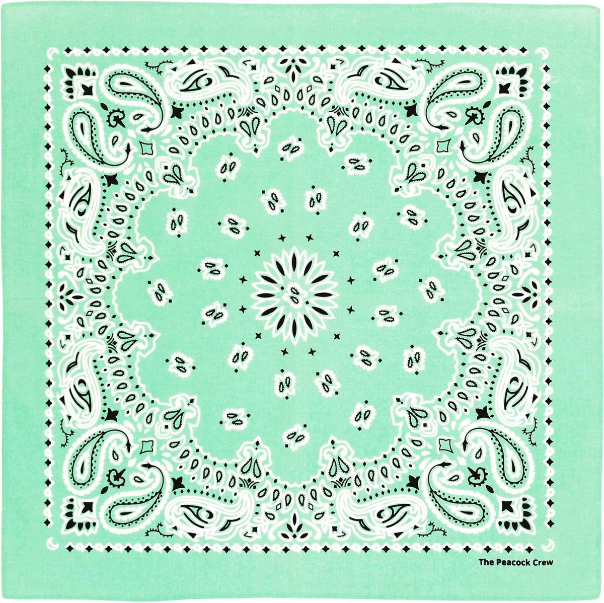 Premium Soft Cotton Bandanas Pack for Men and Women Paisley 22 x 22 - Pack of 10 Turquoise - image 4