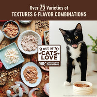 Wellness CORE+ Skin & Coat Pate Adult Wet Cat Food, Natural, Protein-Rich, Grain Free, 2.8 Ounce, 12 Pack (Salmon & Sardine)