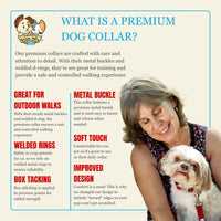 Country Brook Petz - Premium Nylon Dog Collar with Metal Buckle for Small Medium Large Breeds - 30+ - Medium (Pack of 1) / Red - image 4