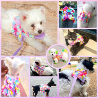 Luxury Floral Dog Harness and Leash Set – 3D Petal Puppy Vest Harness for Small Dogs & Cats