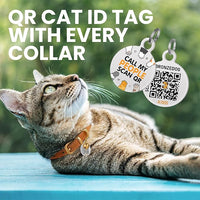 BRONZEDOG Leather Cat Collar with Removable Bells Non Breakaway Kitten QR Tag for Girl Boy (7" - 9" for Cats, Black & Gold)