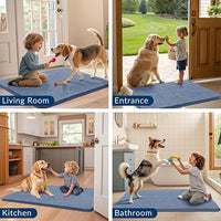 Smiry Dog Door Mat for Muddy Paws 36x24, Absorbs Moisture and Dirt Doormat, Non-Slip Washable Quick Dry Chenille Front Door Mat Indoor Entrance, Entryway Carpet for Inside Floor, Airy Blue