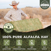 5lb Freshly Dried Organic Alfalfa Hay for Guinea Pigs, Rabbits, Chinchillas, Goats, Hamsters & Ferrets, Small Animal Food Rich in Protein & Fiber, Hand-Selected, Hand Sorted, USA Grown