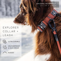 MADE TO ROAM Explorer Dog Collar - Texas Flair / Size 2 - image 4