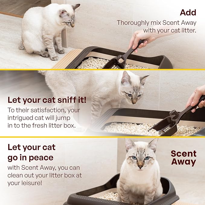 Cat Litter Deodorizer | Litter Box Odor Eliminator | Fragrance-Free with Active Carbon | Eliminates Cat Odors and Smells to Keep Your Home Fresh and Clean (Pack of 1)