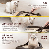 Cat Litter Deodorizer | Litter Box Odor Eliminator | Fragrance-Free with Active Carbon | Eliminates Cat Odors and Smells to Keep Your Home Fresh and Clean (Pack of 3)