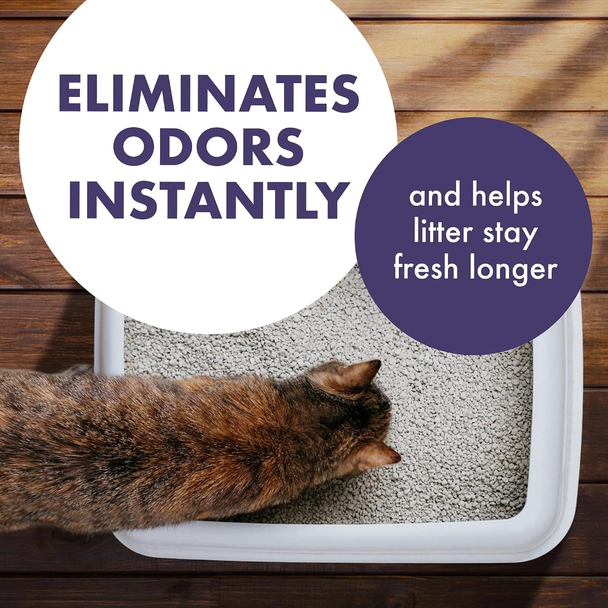 ARM & HAMMER Cat Litter Deodorizer Double Duty - Forever Fresh / 30 oz (Pack of 6) - image 2