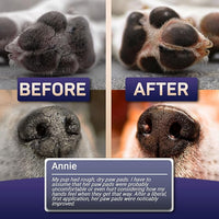 Dog Paw Balm for Dry Cracked Paws – Lick-Safe Moisturizer and Organic Paw Wax with Aloe & Vitamin E – Hot Pavement and Winter Snow Protection – Nose Safe – for All Breeds