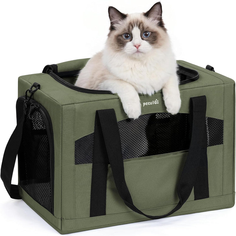 Pecute Cat Carrier Stable, Pet Carrier with Privacy Partition - Green / 18.5"L x 12.9"W x 11.8"H