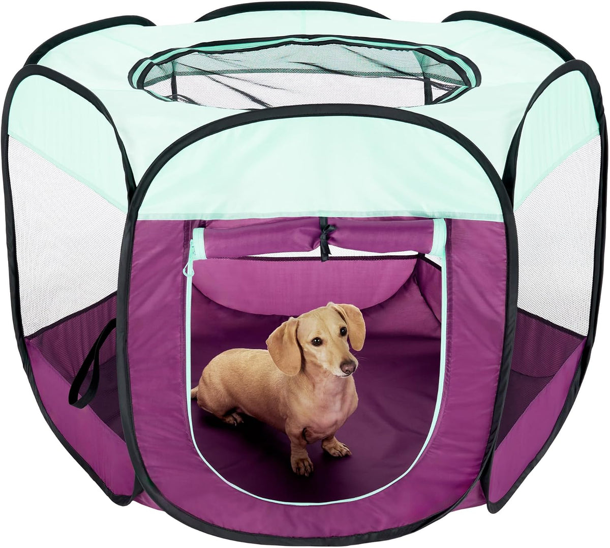 FurHaven Soft-Sided Dog & Cat Playpen - Purple / Medium