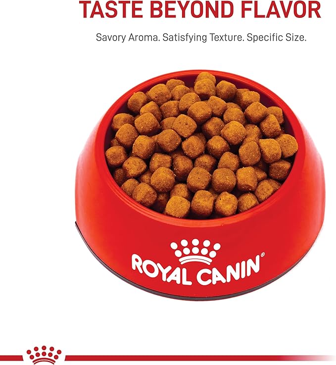 Royal Canin Maine Coon Breed Adult Dry Cat Food, 14 lb bag