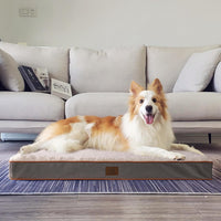 Washable Orthopedic Large Dog Bed with Removable Cover - Light Grey / 35.0"L x 22.0"W x 3.0"Th - image 3