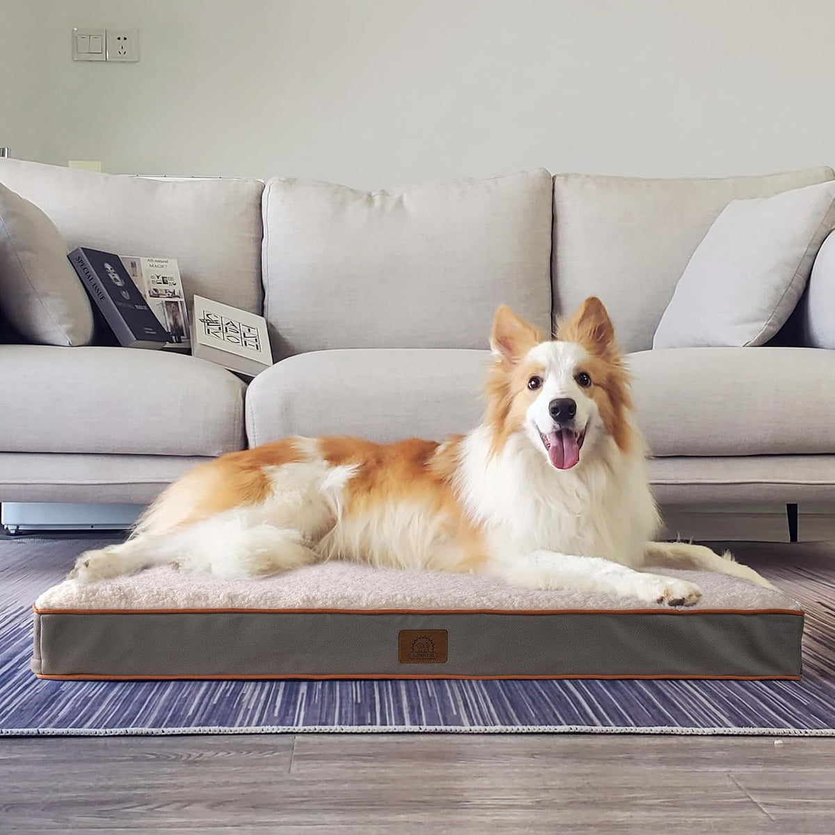 Washable Orthopedic Large Dog Bed with Removable Cover - Light Grey / 35.0"L x 22.0"W x 3.0"Th - image 3