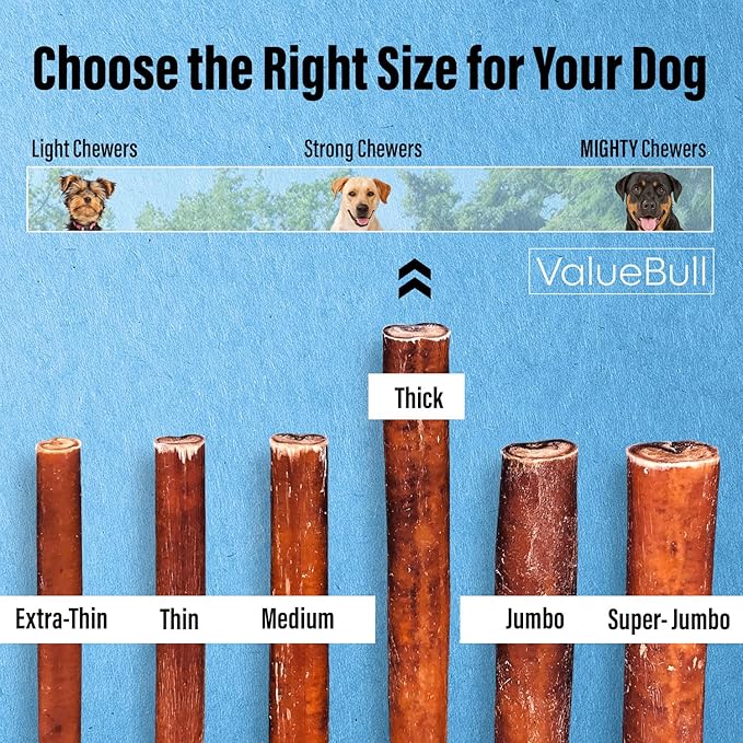 ValueBull Bully Sticks for Dogs, Thick 12 Inch, 200 Count Wholesale Pack - All Natural, Grass Fed, Single Ingredient, Long Lasting Dog Treats