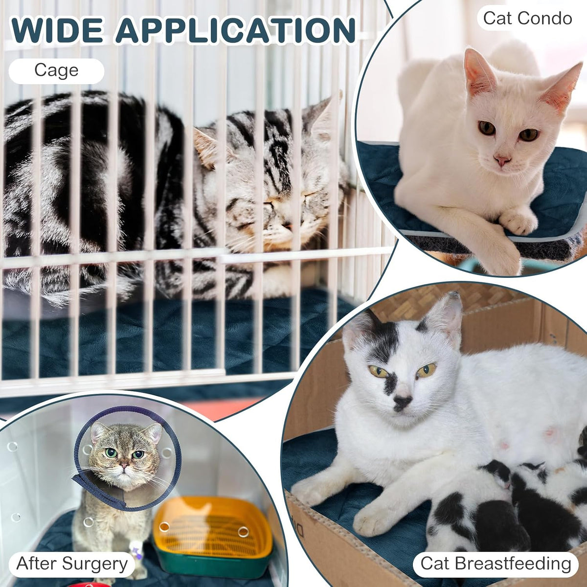 2 Pack Self Warming Cat Bed Thermal Pet Mat - 16 x 20 inches / Blue - image 3