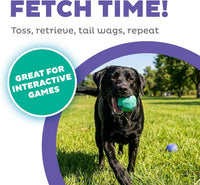 Outward Hound FlyFetch Launch-A-Ball Dog Ball Launcher Toy - Rubber Fetch Ballz (2-Pack) - image 2
