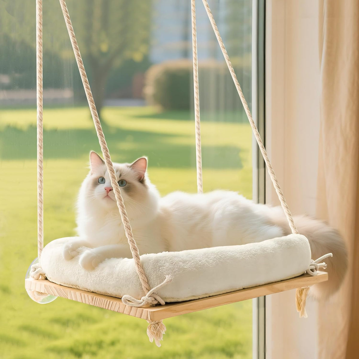 Cat Window Perch Hammock with Solid Wood Seat & Plush Cushion – Essentials for Cats - Natural Wood / Suction Cup Mount - Standard