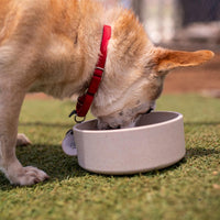 Loving Pets, Dolce Bamboo - Oat Beige / Small Dish - image 3