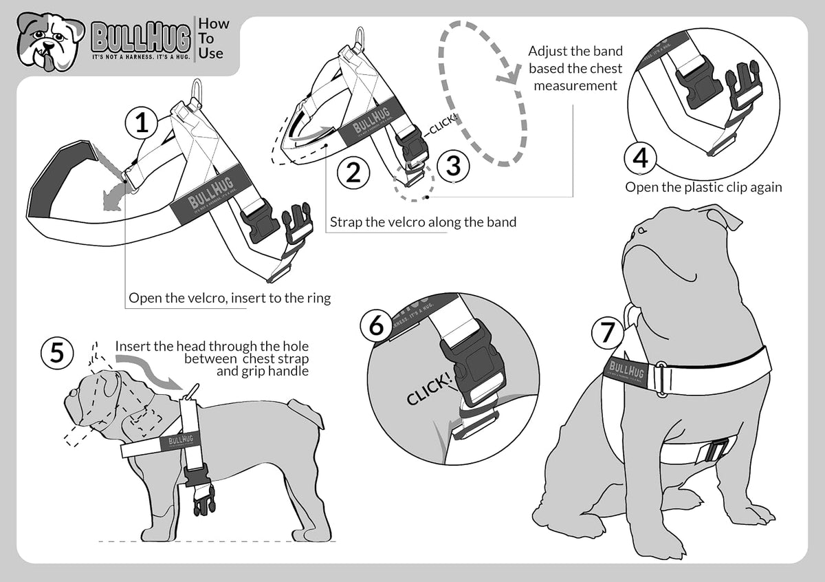 Adjustable Dog Harness, No Pull, No Choke, for English Bulldogs - VIOLET / Large - (Neck: 19" - 23" Chest: 29" - 33") - image 4
