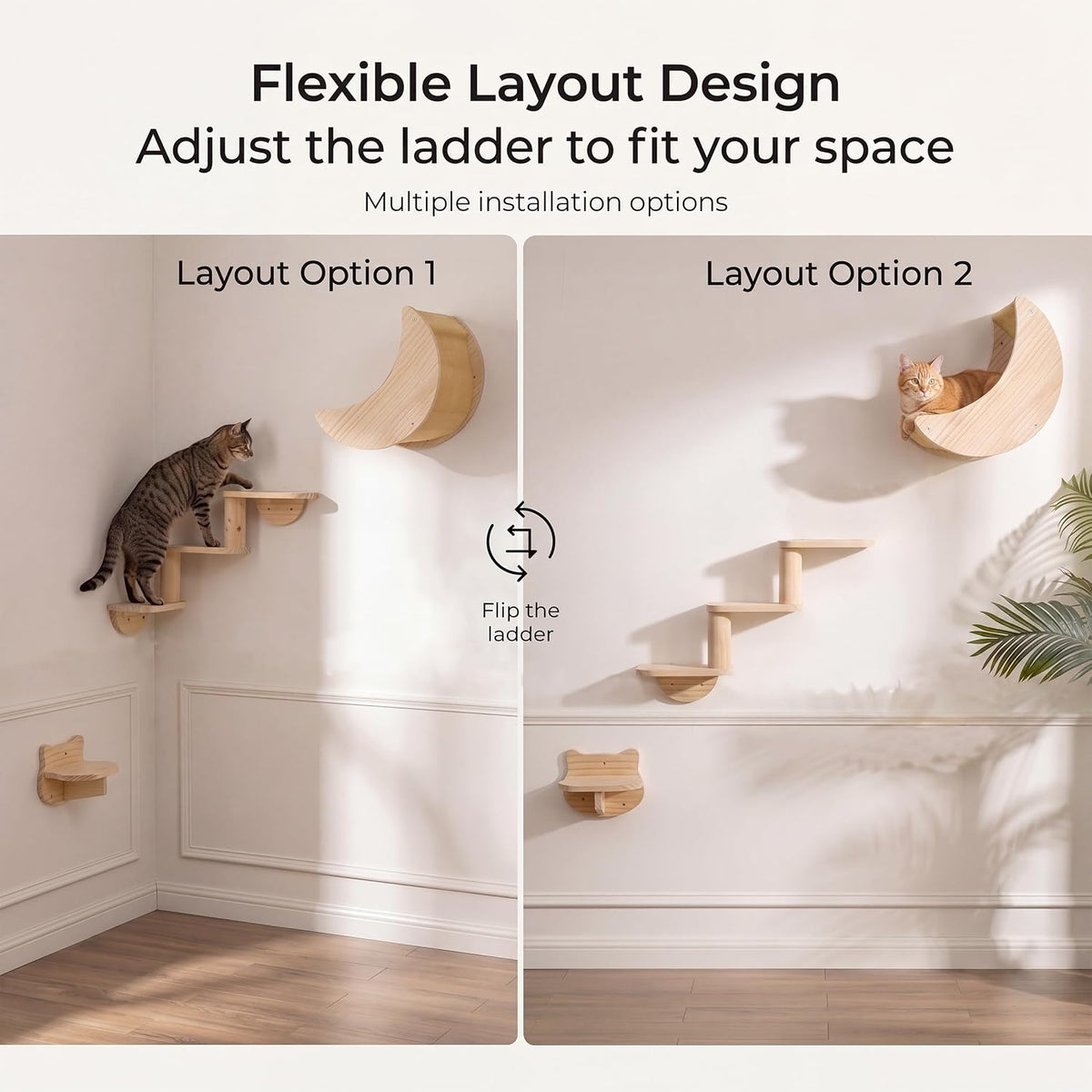 Cat Wall Shelves Set, Solid Wood Moon Bed - moon bed with 3-level stairs - image 3