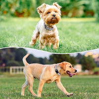 Reflective Dog Collar Padded with Soft Neoprene Breathable Quick Release Basic Dog Collars for Medium Large Dogs Boy Girl Silver
