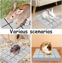 Hamiledyi 8PCS Rabbit Scratching Pads Bunny Lava Grinding Claw Pads Small Animal Foot Pads Hamster Scratch Board Chew Toys for Gerbil Chinchilla Hedgehog Guinea Pig Cage Accessories