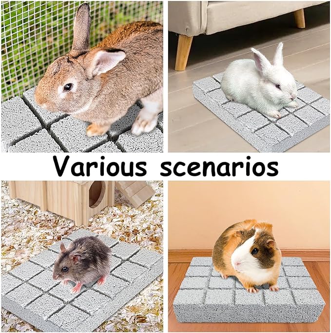 Hamiledyi 8PCS Rabbit Scratching Pads Bunny Lava Grinding Claw Pads Small Animal Foot Pads Hamster Scratch Board Chew Toys for Gerbil Chinchilla Hedgehog Guinea Pig Cage Accessories