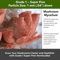 Organic Superfine Vermiculite for Indoor Gardening Plants and Mushrooms – Enhances Soil Aeration, Seed Germination, Rooting Cuttings – Small Packages and Bulk (Vermiculite Grade 1 - Superfine, 1 qt)