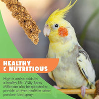 5LBS GMO-Free Sun Dried Spray Millet - Original Bird Treat Millet for Parakeets, Cockatiels, Finches & More - Non-GMO, High in Amino Acids, Easy Storage, Tasty & Healthy Bird Snacks (5 lbs)