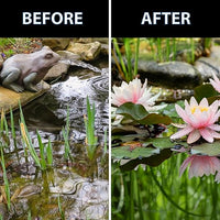 CrystalClear Thrive Aquatic Pond Plant Food, Fish Safe Water Garden Fertilizer, Nutrients Boost Lily & Lotus Flower Bloom & Root Growth, 30 Tablets