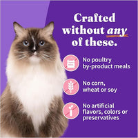 Halo Purely For Pets Halo Indoor Wet Cat Food, Grain Free, Salmon Pate, 5.5 Ounce (Pack of 12)