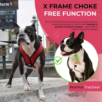 Gooby Comfort X Head-in Dog Harness, Choke-Free - X-Large Chest (20.5-28") / Red - image 4