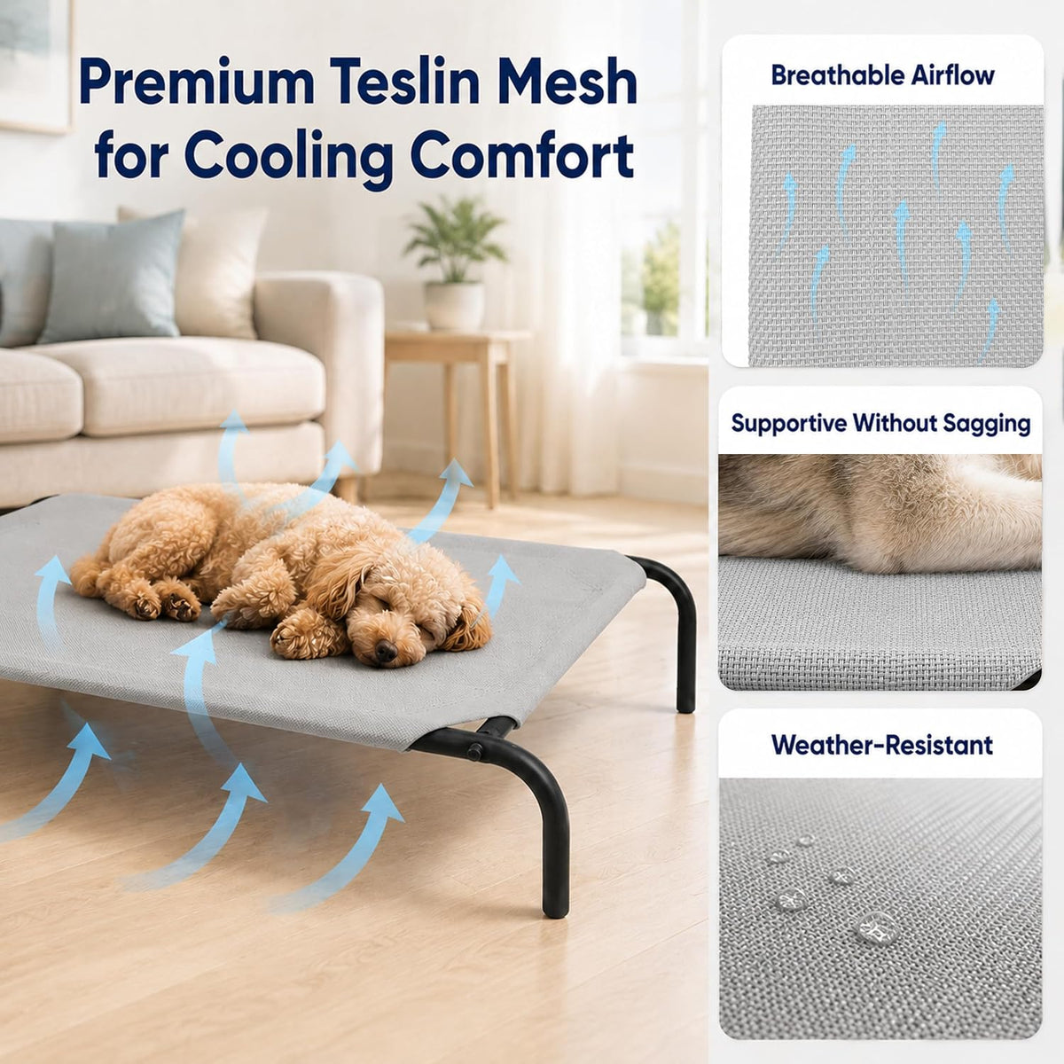 Raised Pet Cot for Small Pets – Essentials for Dogs - Small / Grey - image 3