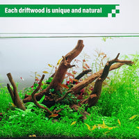 Driftwood for Aquarium Natural Aquarium Wood for Aquascaping Fish Tank Decorations Reptile Tank Decor (Natural Driftwood 9-14" (Pack of 2))